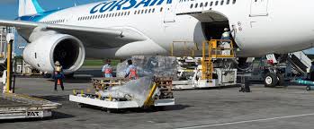 Transport groupé pour plusieurs animaux