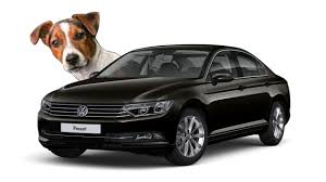 Van Mercedes Sprinter aménagé pour transport animal